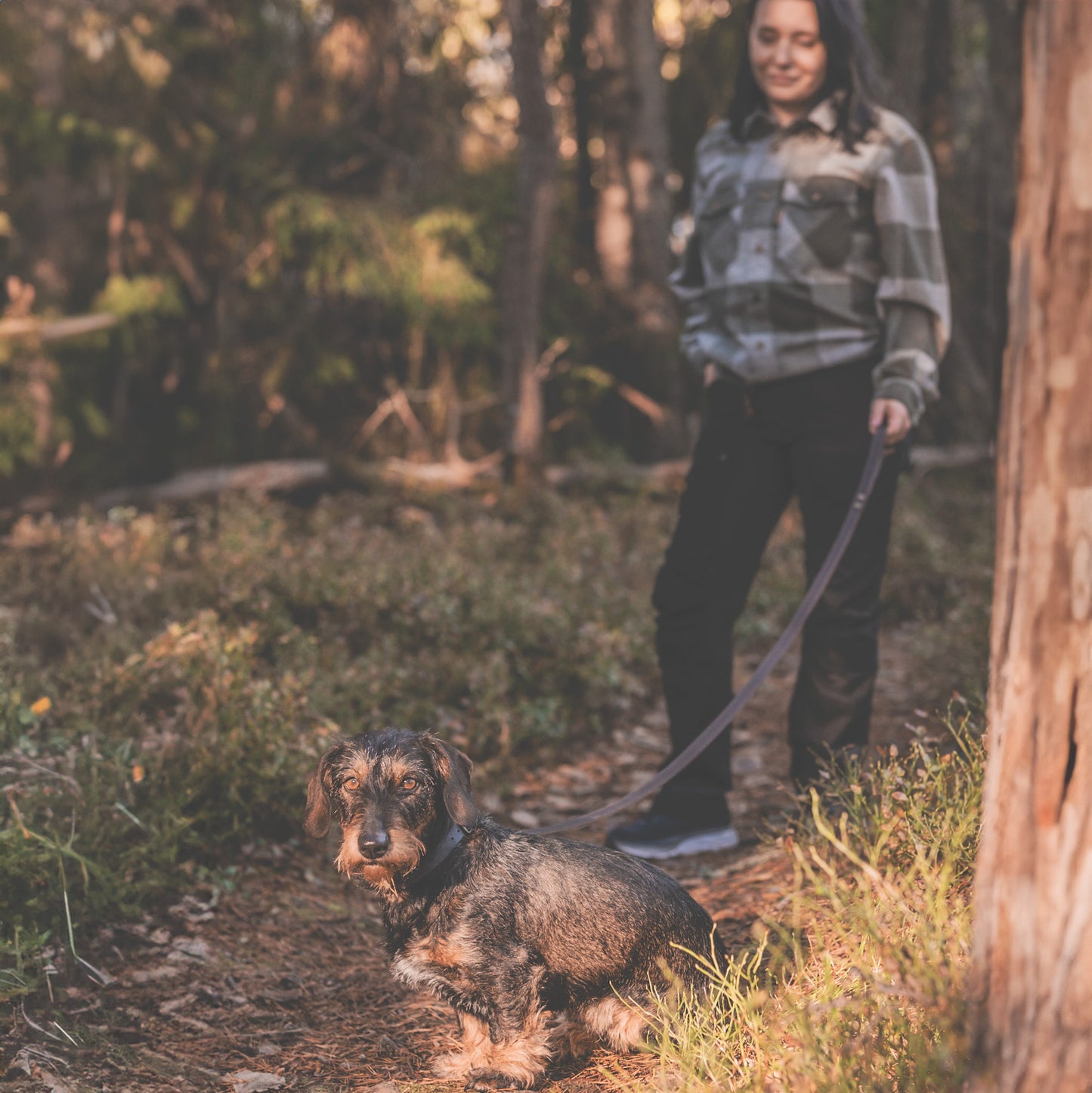 Rosellis hundkoppel av äkta läder från Tärnsjö Sweden. Praktisk handloop och metallspänne.