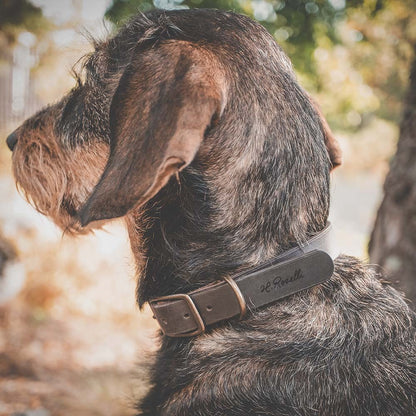 Roselli Läderhundhalsband